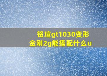 铭瑄gt1030变形金刚2g能搭配什么u