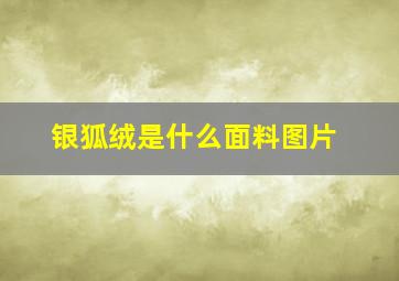 银狐绒是什么面料图片