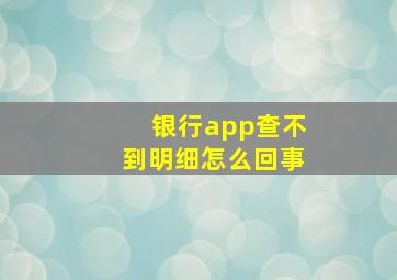 银行app查不到明细怎么回事