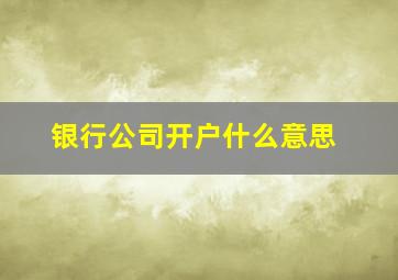 银行公司开户什么意思