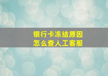 银行卡冻结原因怎么查人工客服