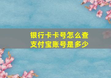 银行卡卡号怎么查支付宝账号是多少