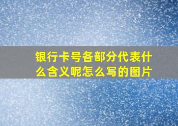 银行卡号各部分代表什么含义呢怎么写的图片