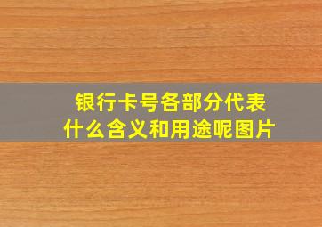 银行卡号各部分代表什么含义和用途呢图片