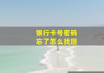 银行卡号密码忘了怎么找回