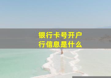 银行卡号开户行信息是什么