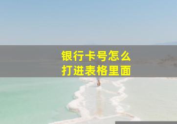 银行卡号怎么打进表格里面