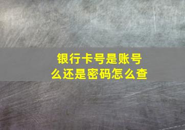 银行卡号是账号么还是密码怎么查