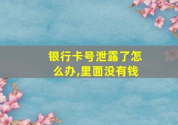 银行卡号泄露了怎么办,里面没有钱