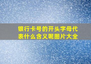 银行卡号的开头字母代表什么含义呢图片大全