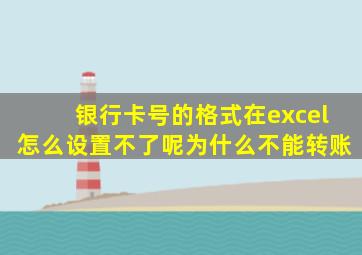 银行卡号的格式在excel怎么设置不了呢为什么不能转账