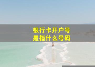 银行卡开户号是指什么号码