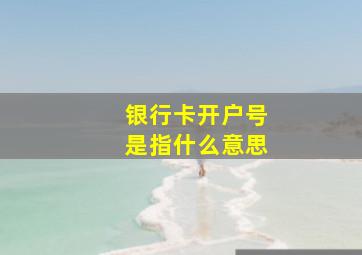 银行卡开户号是指什么意思