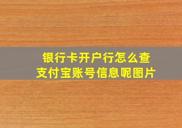 银行卡开户行怎么查支付宝账号信息呢图片