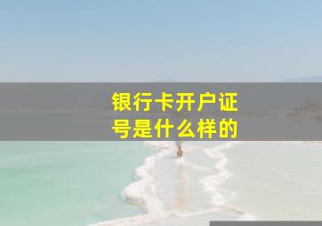 银行卡开户证号是什么样的