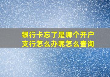 银行卡忘了是哪个开户支行怎么办呢怎么查询