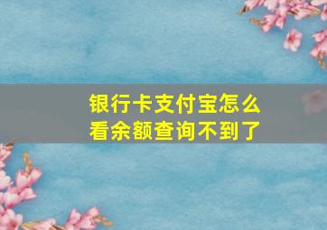 银行卡支付宝怎么看余额查询不到了