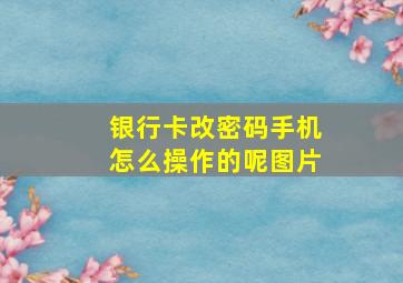 银行卡改密码手机怎么操作的呢图片