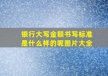 银行大写金额书写标准是什么样的呢图片大全