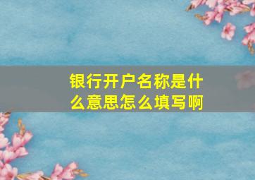 银行开户名称是什么意思怎么填写啊