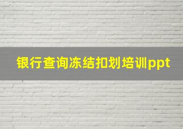 银行查询冻结扣划培训ppt