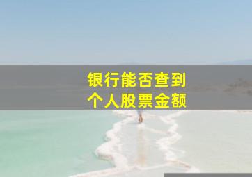 银行能否查到个人股票金额