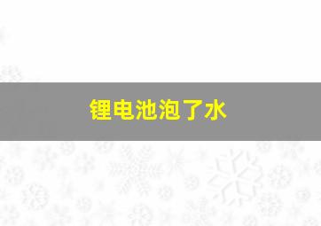 锂电池泡了水