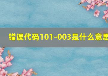 错误代码101-003是什么意思