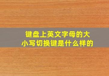 键盘上英文字母的大小写切换键是什么样的