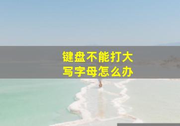 键盘不能打大写字母怎么办