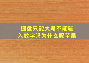 键盘只能大写不能输入数字吗为什么呢苹果