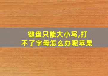 键盘只能大小写,打不了字母怎么办呢苹果