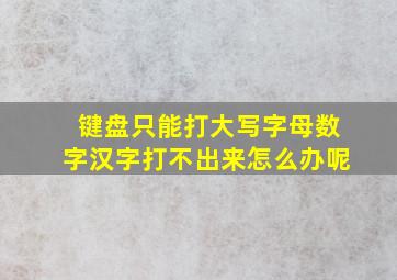 键盘只能打大写字母数字汉字打不出来怎么办呢