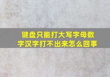 键盘只能打大写字母数字汉字打不出来怎么回事