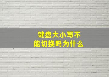 键盘大小写不能切换吗为什么