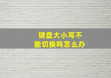 键盘大小写不能切换吗怎么办