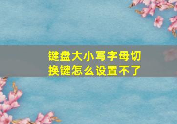 键盘大小写字母切换键怎么设置不了