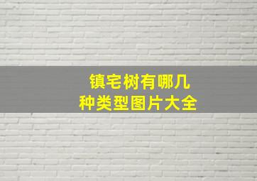 镇宅树有哪几种类型图片大全