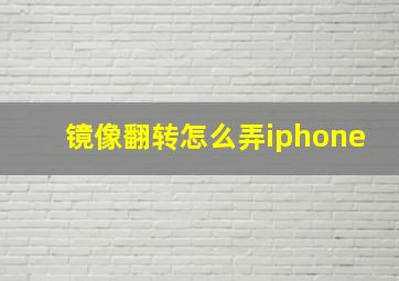 镜像翻转怎么弄iphone