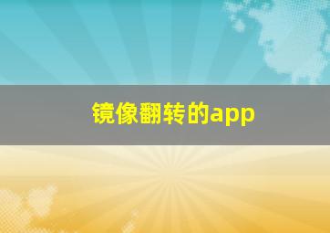 镜像翻转的app