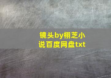 镜头by栩芝小说百度网盘txt