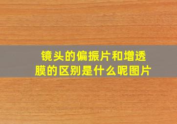 镜头的偏振片和增透膜的区别是什么呢图片