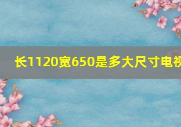 长1120宽650是多大尺寸电视