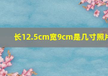 长12.5cm宽9cm是几寸照片