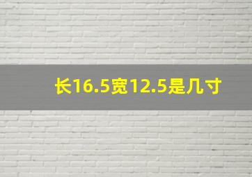 长16.5宽12.5是几寸