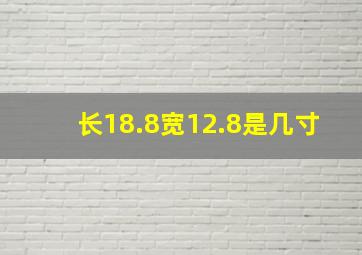 长18.8宽12.8是几寸