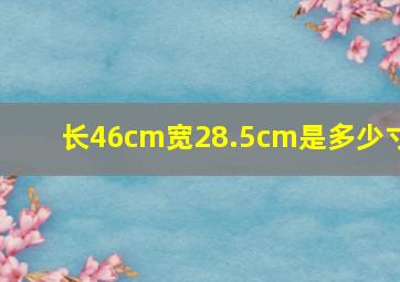 长46cm宽28.5cm是多少寸