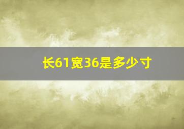 长61宽36是多少寸