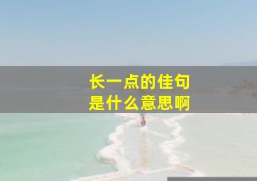 长一点的佳句是什么意思啊