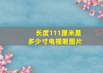 长度111厘米是多少寸电视呢图片